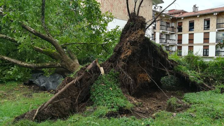 Zuhaitz bat erori da Garmendi auzoan