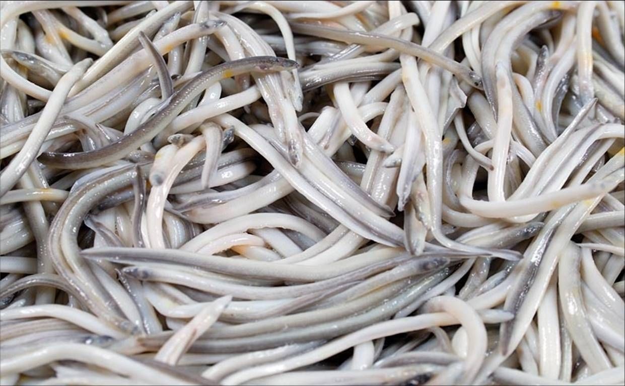 Lagun Onak - Santurtzi, igandean Garmendipen