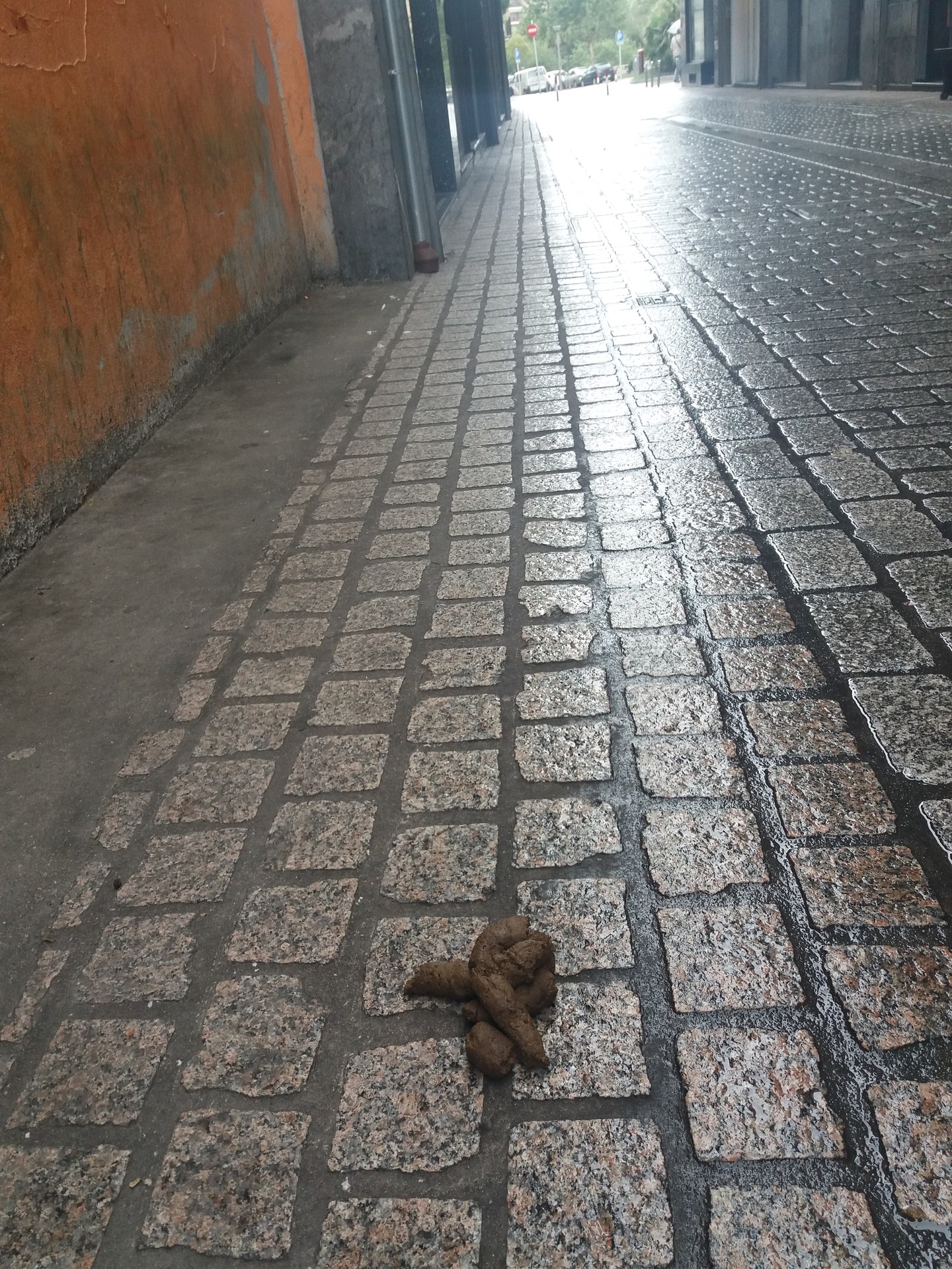 Jasotzeko handi samarra ote?