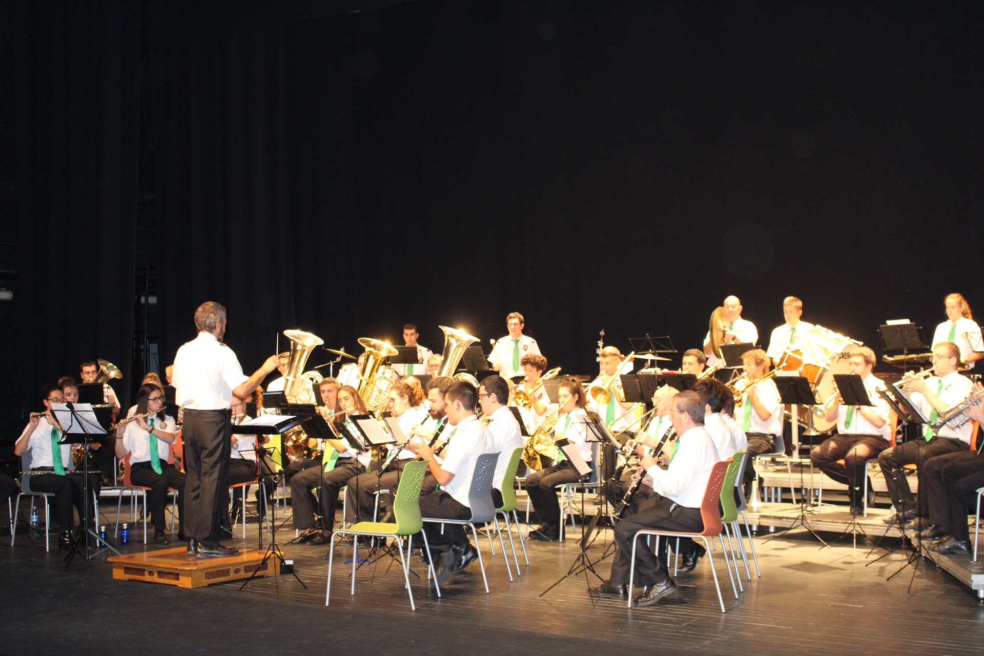 Musika bandak eta bakarlariek kontzertua eskaini dute, Tuba Jaialdiaren barruan