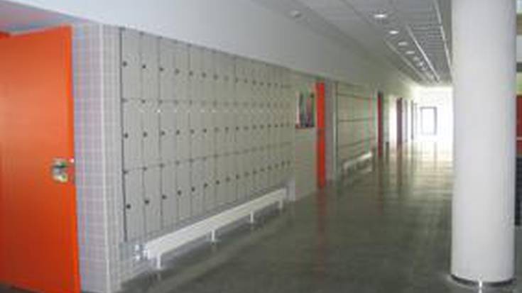 Institutu berria