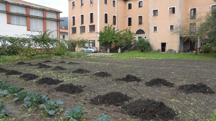 Beraiek egindako konposta, San Millan zentroan