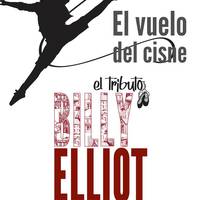 Antzerkia: 'El vuelo del cisne-Tributo a Billy Elliot'