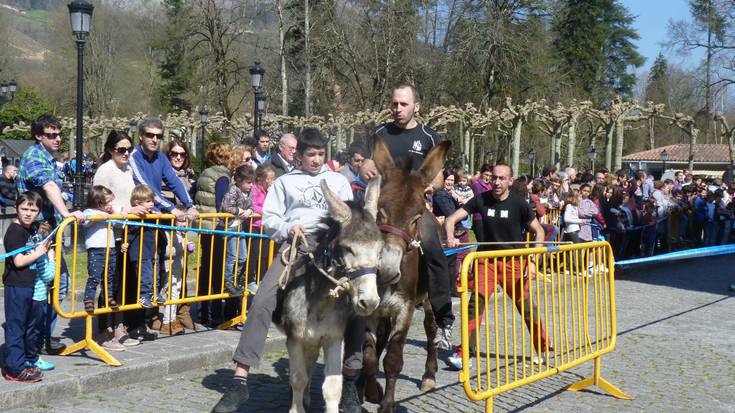 Festa giroa izango da nagusi bihar Loiolan