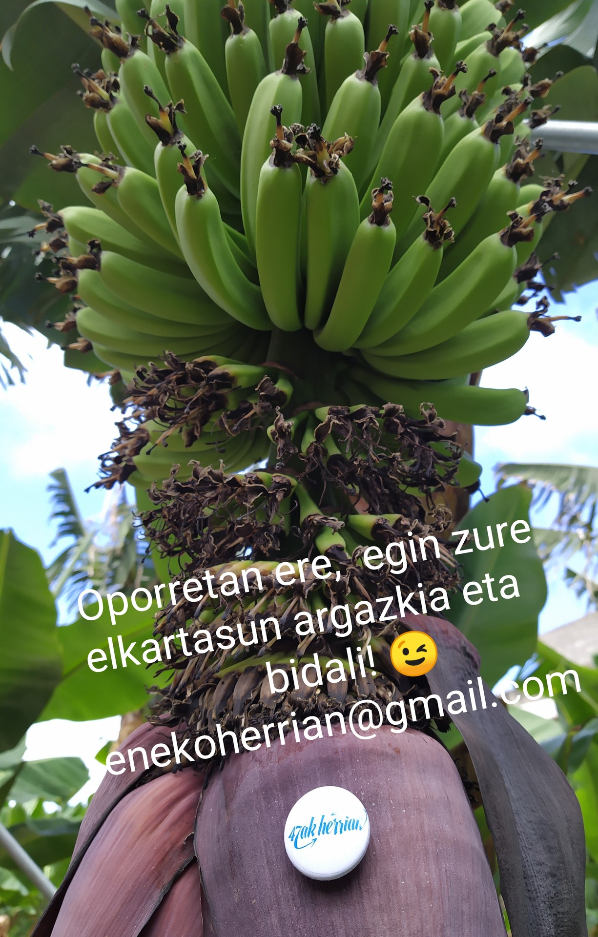 'Eneko herrian' argazki bilduma osatzen gabiltza