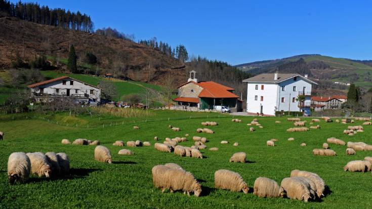 Elosiagako Santa Luzia ermitara eta Añotako sagastietara bisita gidatua egingo dute igandean