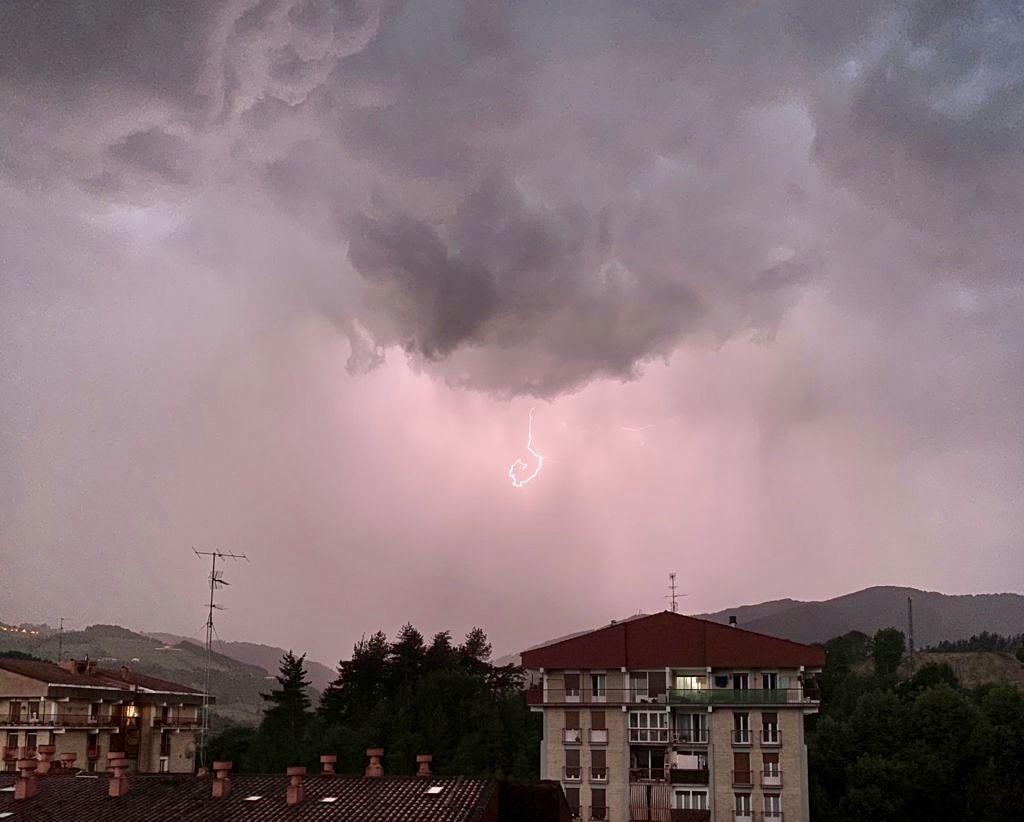 Hainbat zuhaitz bota ditu bart gaueko ekaitzak