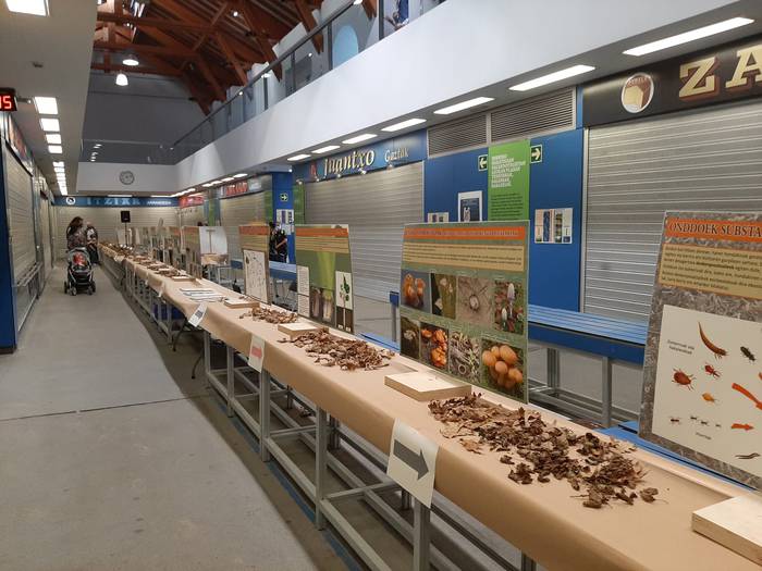 Bihar hasiko da 43. Natur Astea