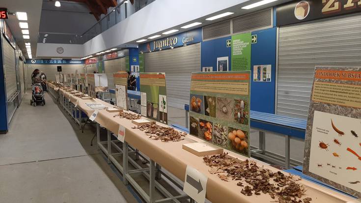 Bihar hasiko da 43. Natur Astea