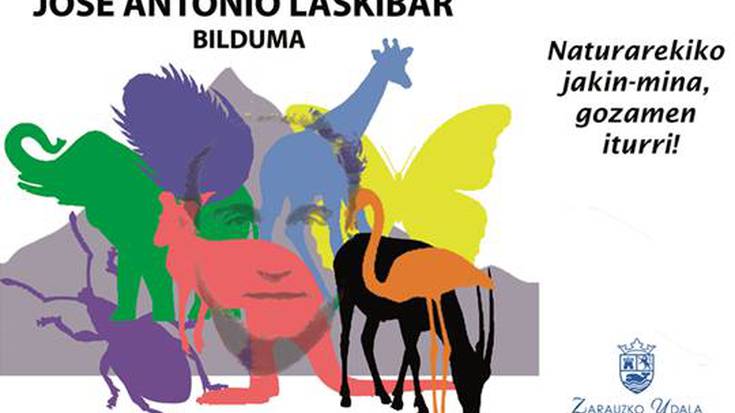 Natur-zientzia bildumei buruzko erakusketa, asteartetik aurrera