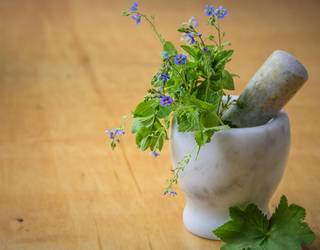 Erremedio naturalen tailerra egingo dute larunbatean Saregilen