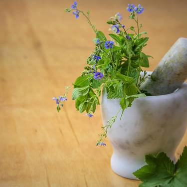 Tailerra: erremedio naturalen tailerra