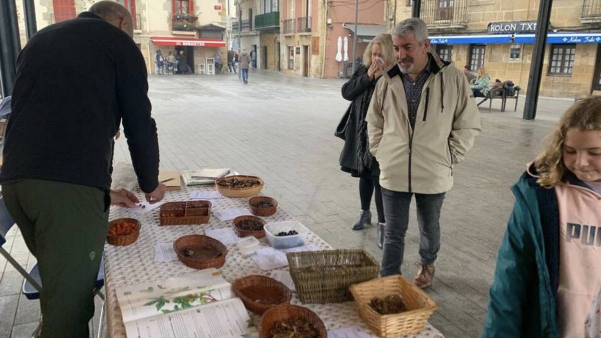Herrio Natur Taldeak hazi banaketa egingo du hilaren 8an
