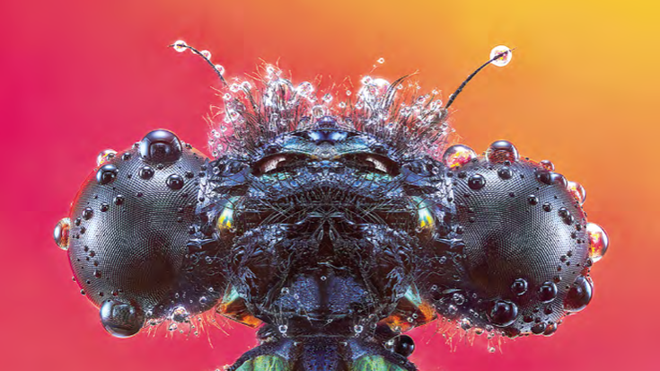 Gaur irekiko dute Nazioarteko Argazki Mostra Sanz Enean