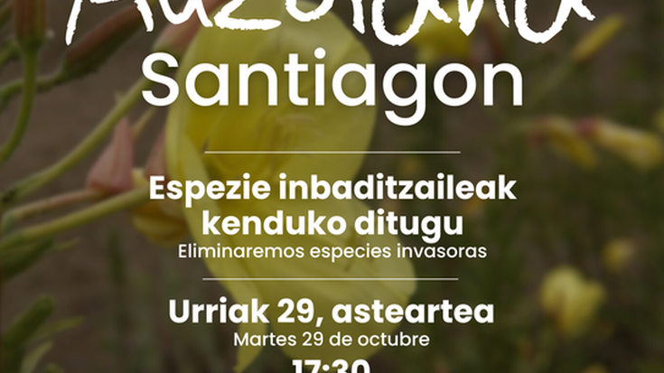 Auzolana: Santiagoko dunetan espezie inbaditzaileak kentzeko saioa