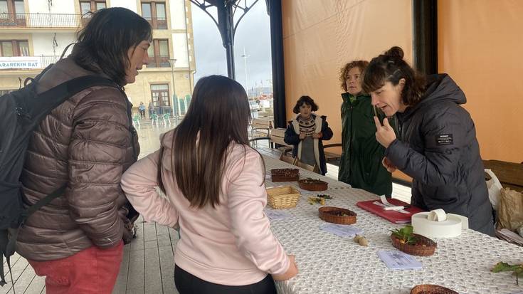 Urtero legez, Euskal Herriko hainbat zuhaitz espezieren haziak banatu dituzte plazan