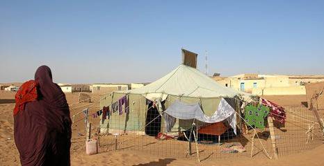 Saharako errefuxiatuen bizimodua eta erresistentzia Tindufen, 40 urteren ostean