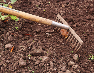 Agroekologiari eta elikadura burujabetzari buruzko hitzaldia antolatu dute Arroa Behean