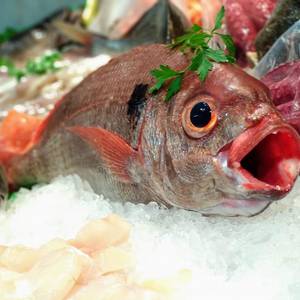 Arrain fresko eta kontserbak