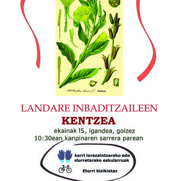 Auzolana: landare inbaditzaileen kentzea