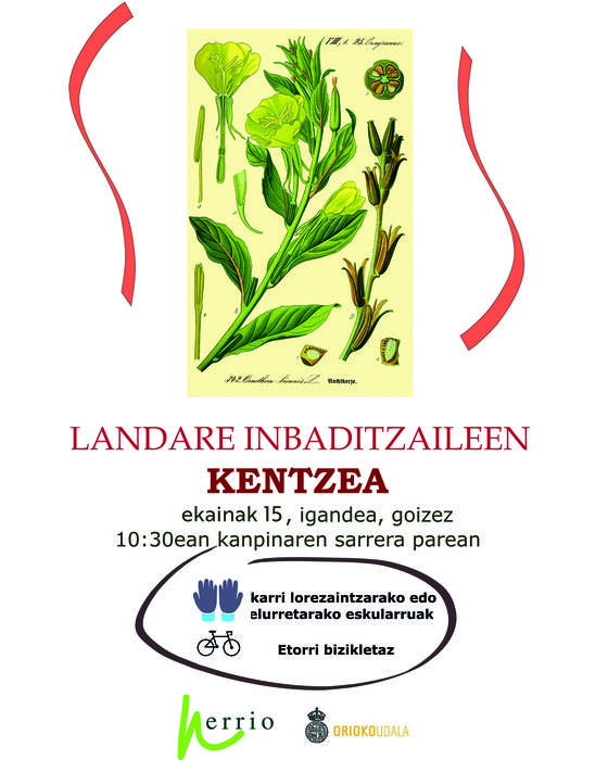 Auzolana: landare inbaditzaileen kentzea