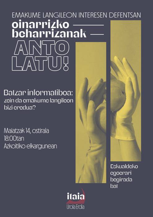 Itaiak egindako inkestak aurkezteko batzarra