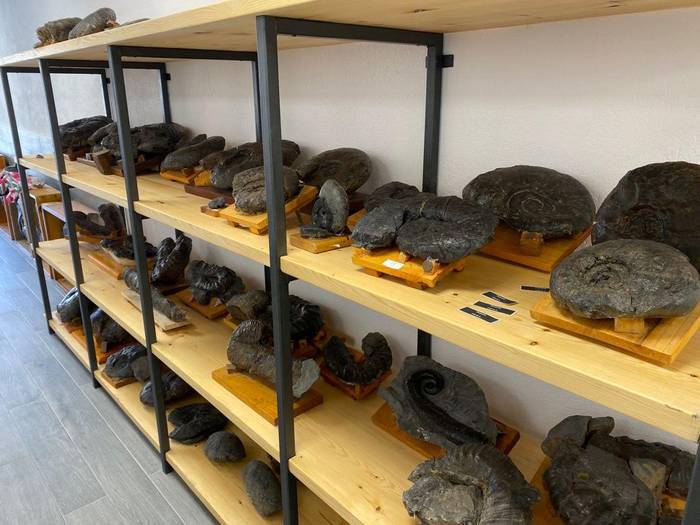 Ikerketa zientifikoa sustatzeko laguntza  deialdia zabaldu du Geoparkeak