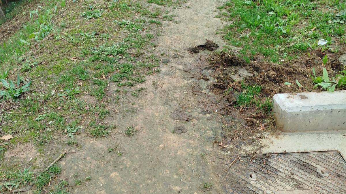 "Txalon Errekako bidexka ez da irisgarria"