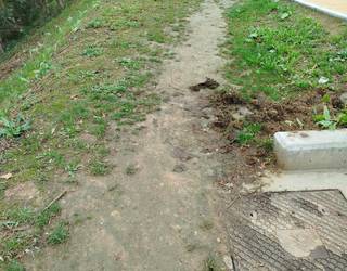 "Txalon Errekako bidexka ez da irisgarria"