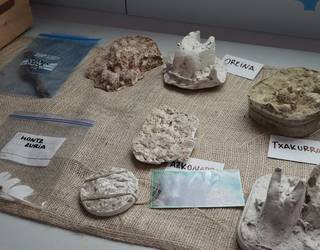 Animalia basatien aztarnen bila aritu dira Ekoetxean