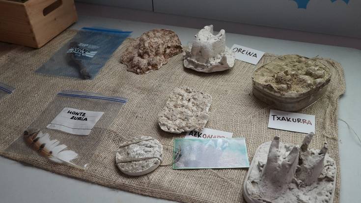 Animalia basatien aztarnen bila aritu dira Ekoetxean
