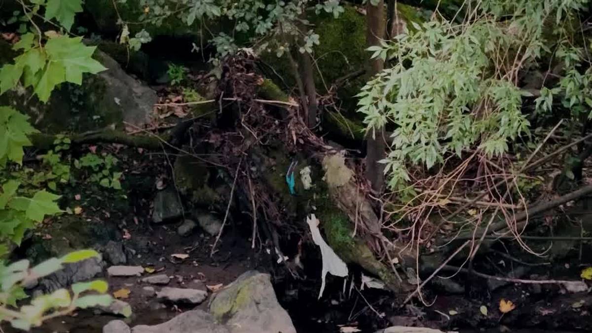 Iraileko Azkoitia Guka aldizkariaren aurrerapena: Ibai ertzeko zaborra