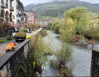 Urola ibaiko landaredia arindu dute