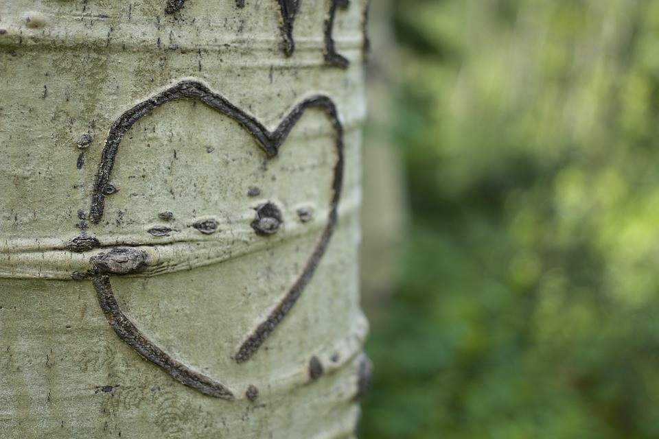 'I love u'