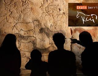 Ekainberri museorako sarrerak