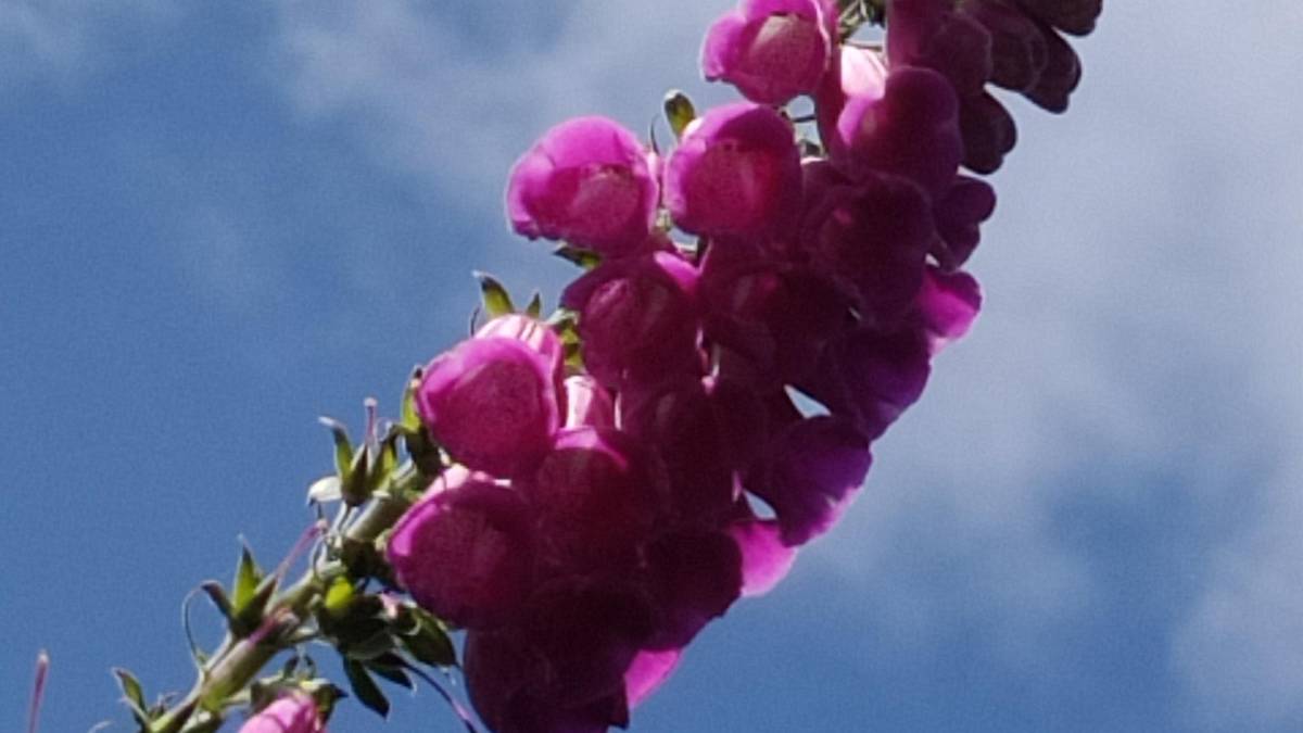 'Florals? For spring?'