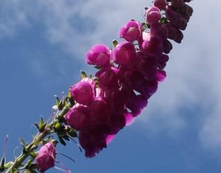 'Florals? For spring?'