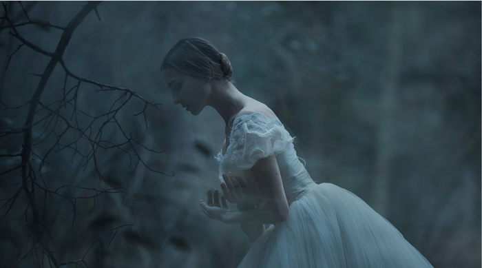 'Giselle' ikuskizuna Kursaalen ikusteko doako autobusa jarri dute kostako herrietan