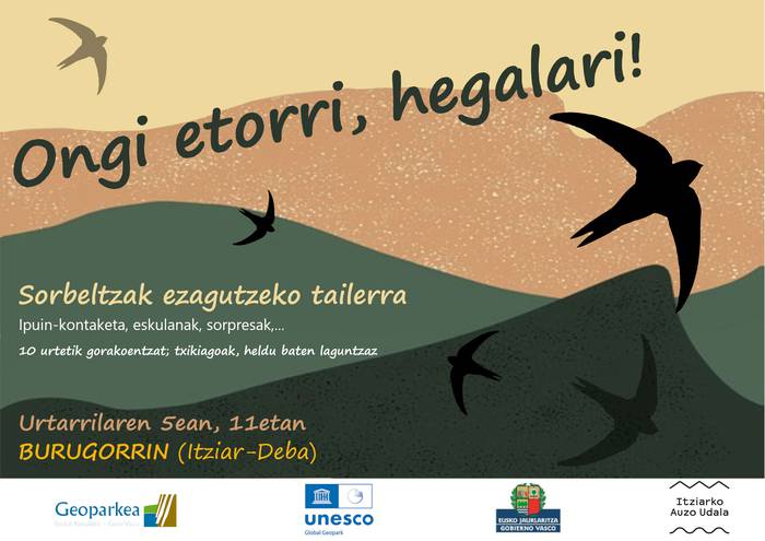 Sorbeltzak ezagutzeko tailerra