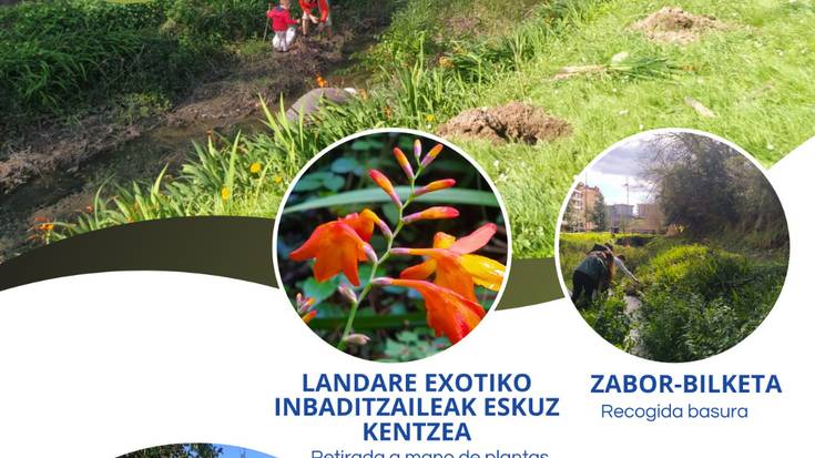 Auzolana: Ibaien Aldeko Ekintzen Nazioarteko Eguna
