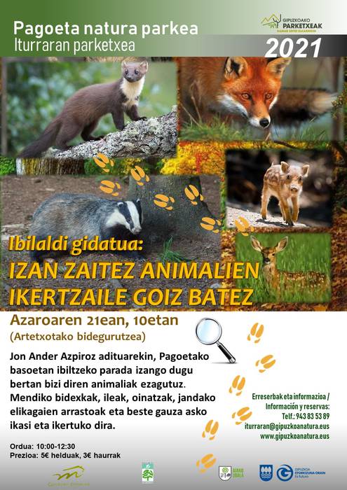 Pagoetako basoetan bisita gidatua