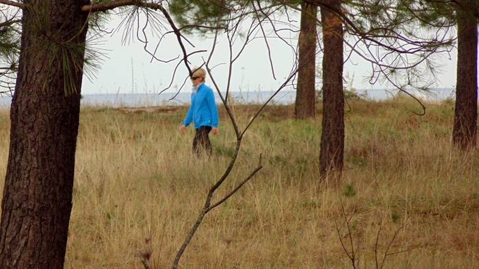 Santiagoko dunetako pinuen herena kenduko dute, ez guzti-guztiak