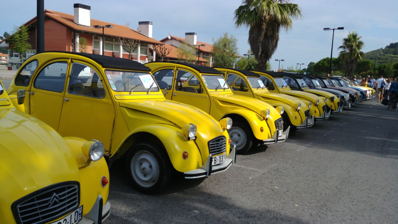HARA! Txakolinaren bidea auto klasikoetan