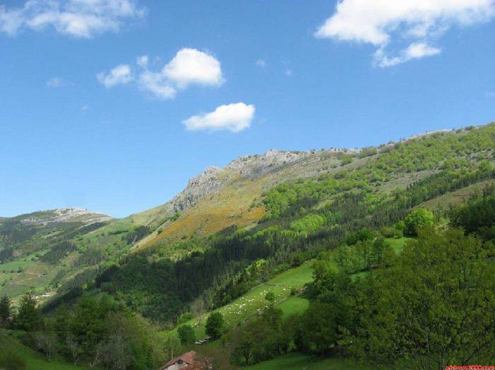 Nekatzen eta iraultzen