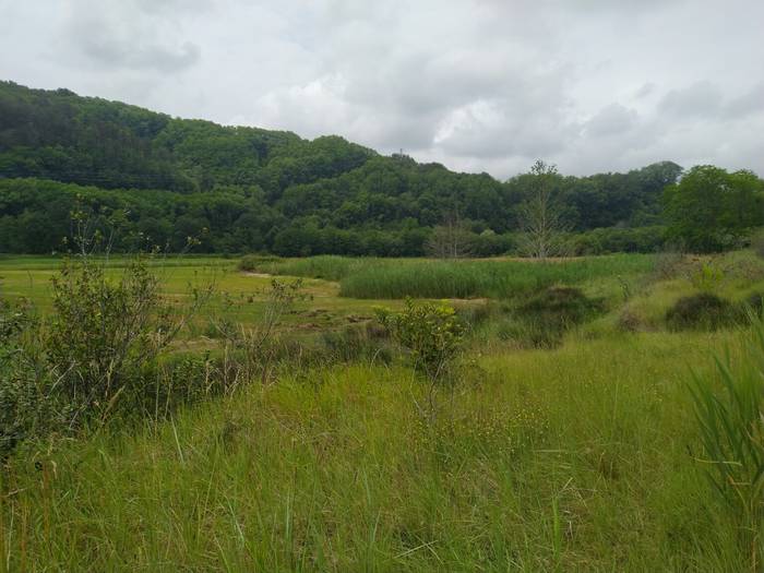 Motondoko padura leheneratzeko proiektua aurrera doa, barraskilo abiaduran, baina aurrera