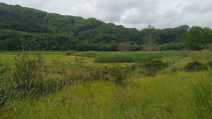 Motondoko padura leheneratzeko proiektua aurrera doa, barraskilo abiaduran, baina aurrera