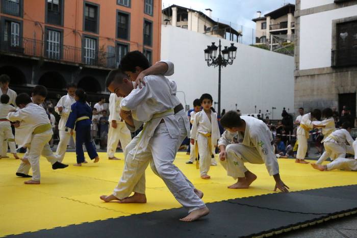 Judo eskolakoen erakustaldia