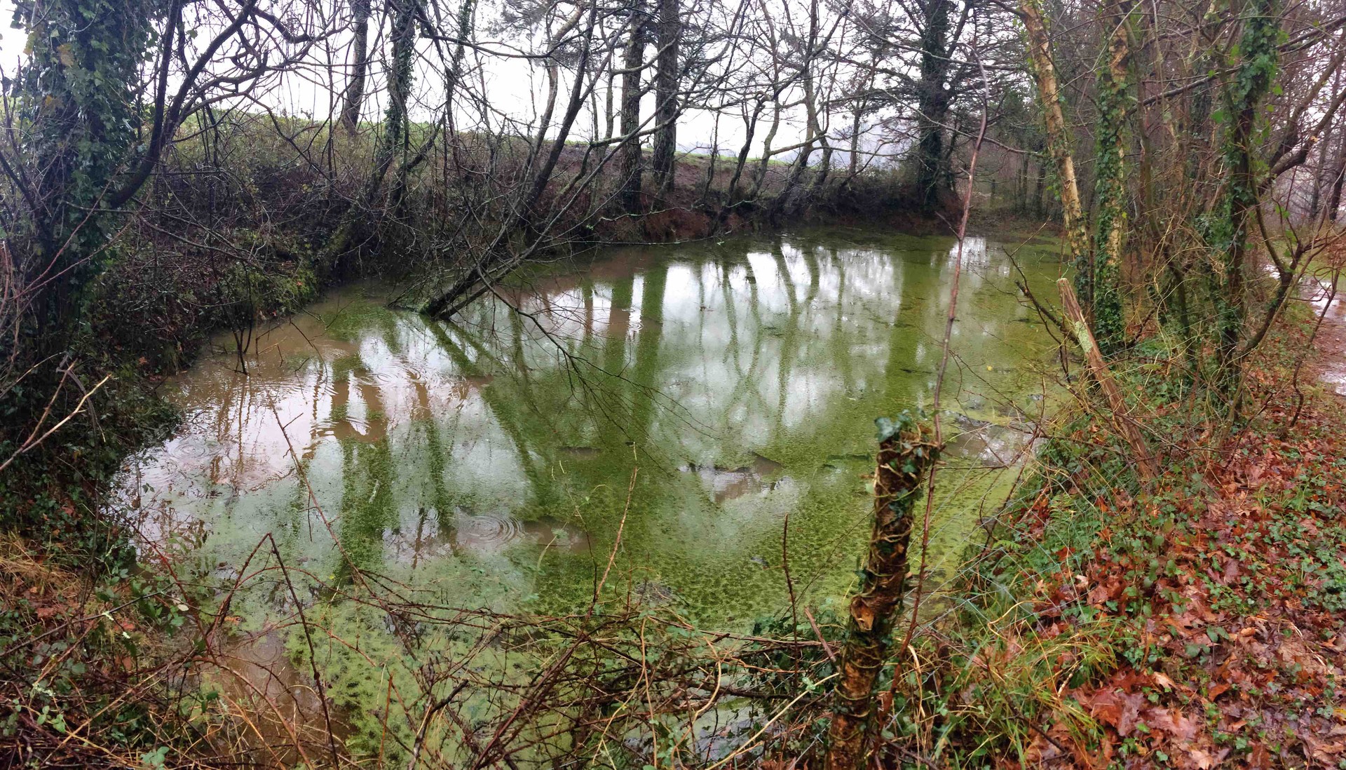 Geoparkeko barnealdeko hezeguneak, edanleku soilak baino gehiago