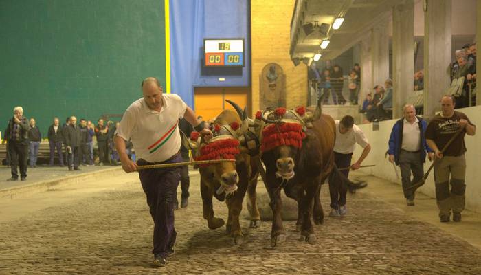 III. Saizar Idi Dema Txapelketa jokatuko dute igandean Errezilgo probalekuan