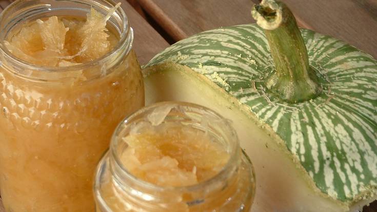 Antigoaleko Hiztegia: 'Katramila', 'Txirikorda', 'Txintxosta'/'Ile-txintxosta', 'Motots'/'Ile-motots', 'Adats-Ile-adats'